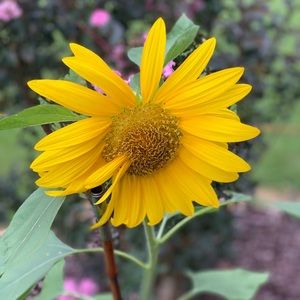 Meet your Posher, Darlene